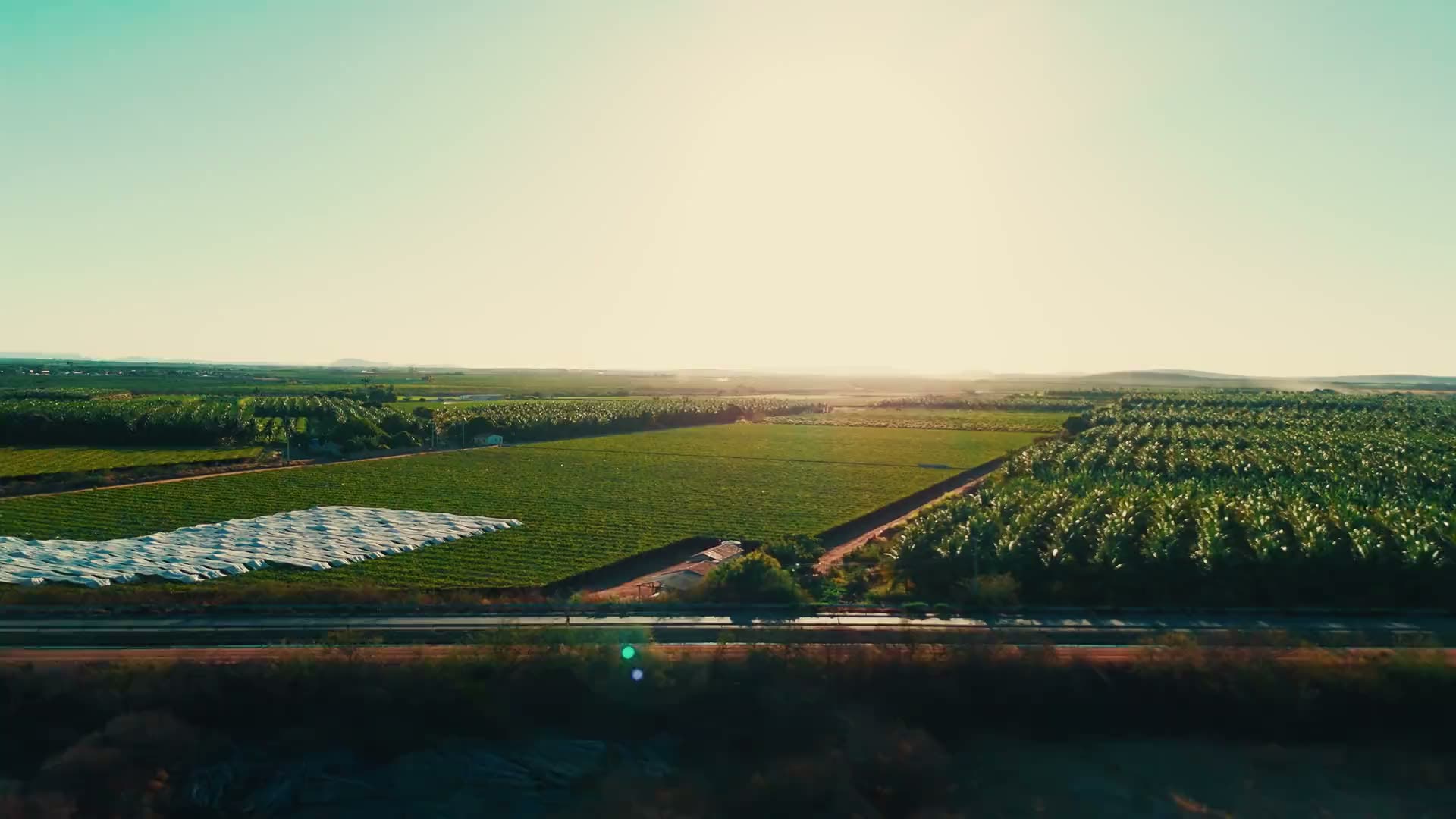 Vista aérea de fazendas irrigadas do Vale do São Francisco